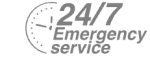 24/7 Emergency Service Pest Control in Walworth, SE17. Call Now! 020 8166 9746