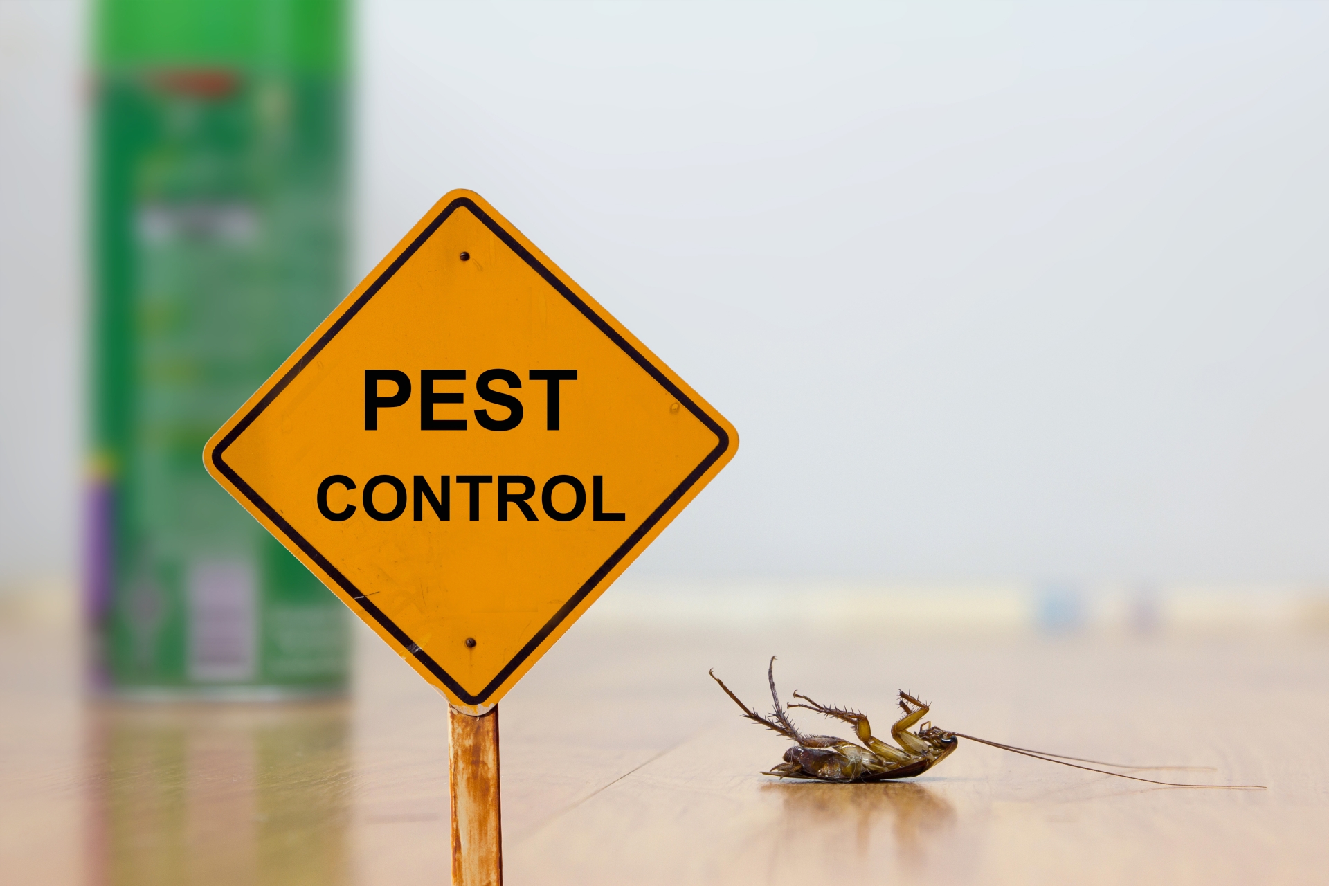 24 Hour Pest Control, Pest Control in Walworth, SE17. Call Now 020 8166 9746